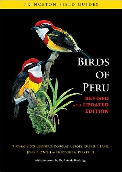 Cover for Thomas S. Schulenberg · Birds of Peru - Princeton Field Guides (Paperback Book) (2010)