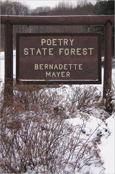 Cover for Bernadette Mayer · Poetry State Forest (Paperback Book) (2008)