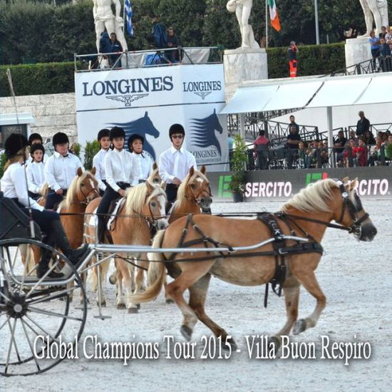 Cover for Annalisa Parisi · Lgct 2015 (Book) (2015)