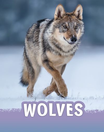 Cover for Mari Schuh · Wolves - Animals (Paperback Book) (2021)