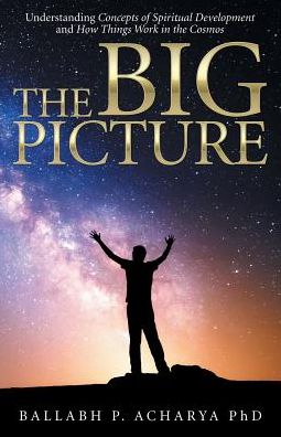 Cover for Ballabh P Acharya · The Big Picture (Paperback Book) (2018)