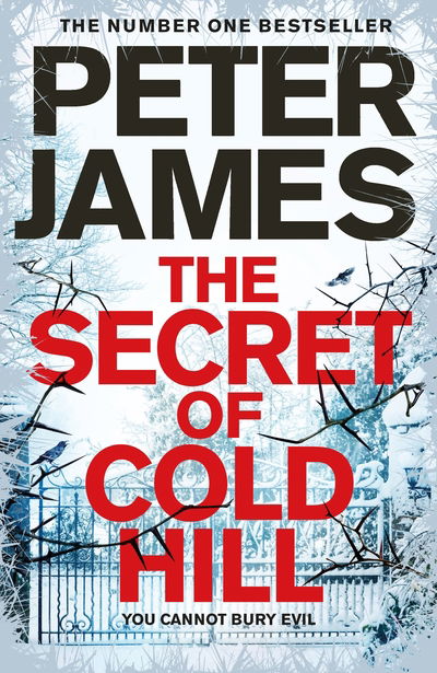 Cover for Peter James · The Secret of Cold Hill (Hardcover bog) (2019)
