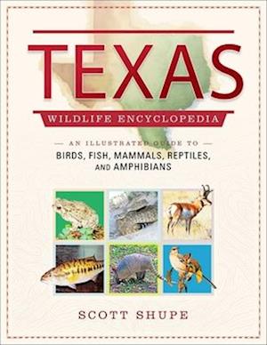 Cover for Scott Shupe · Texas Wildlife Encyclopedia: An Illustrated Guide to Birds, Fish, Mammals, Reptiles, and Amphibians (Hardcover Book) (2024)