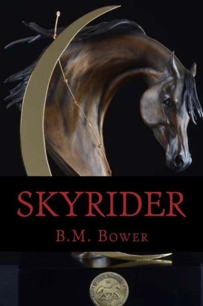 Cover for B M Bower · Skyrider (Paperback Bog) (2016)