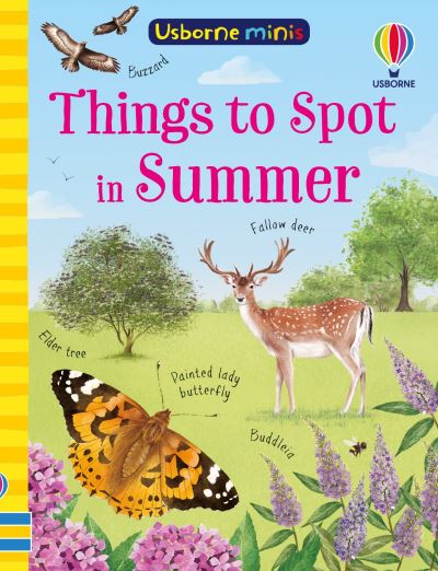 Things to Spot in Summer - Usborne Minis - Kate Nolan - Books - Usborne Publishing Ltd - 9781835401231 - May 8, 2025