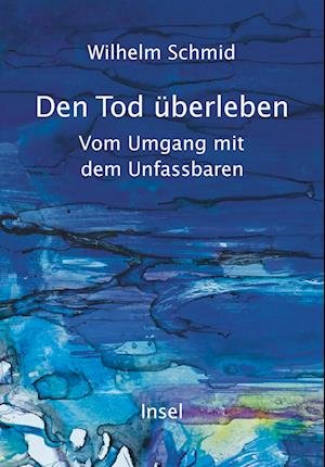 Den Tod Ã¼berleben - Wilhelm Schmid - Livros -  - 9783458644231 - 