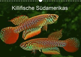 Cover for Pohlmann · Killifische Südamerikas (Wandk (Book)