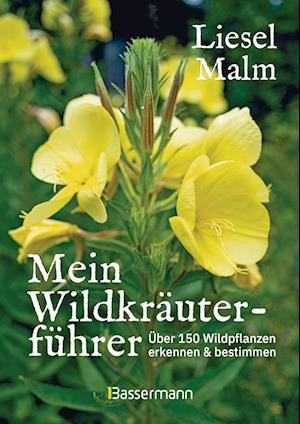 Cover for Liesel Malm · Mein Wildkräuterführer. Über 150 Wildpflanzen sammeln, erkennen &amp; bestimmen. (Book) (2022)