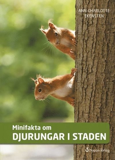 Cover for Ann-Charlotte Ekensten · Minifakta om ...: Minifakta om djurungar i staden (Indbundet Bog) (2017)