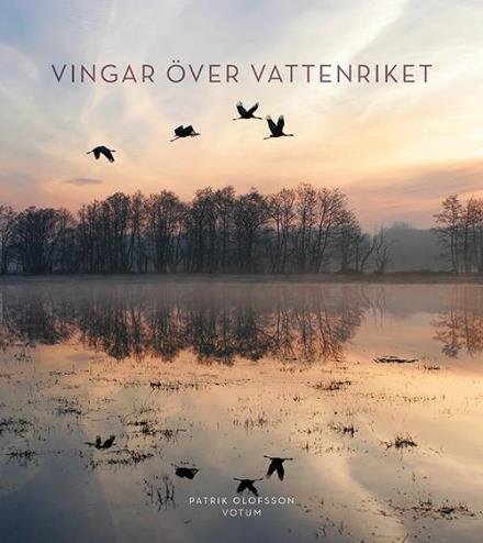 Cover for Patrik Olofsson · Vingar över Vattenriket (Gebundesens Buch) (2017)