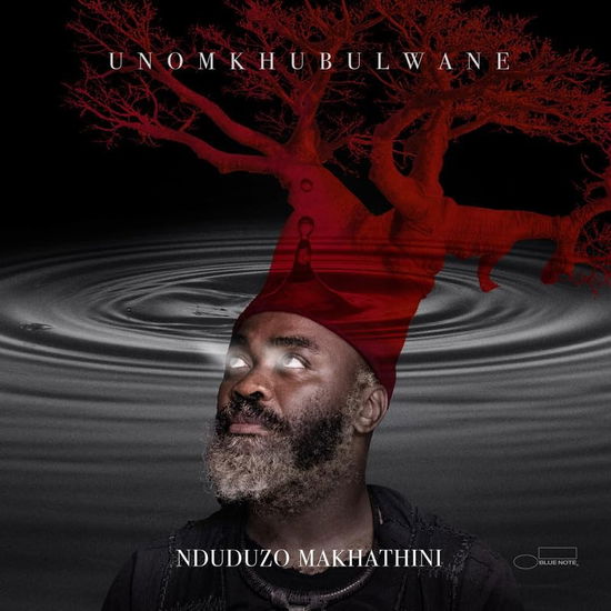 Unomkhubulwane - Nduduzo Makhathini - Musiikki - BLUE NOTE - 0602465185232 - perjantai 7. kesäkuuta 2024