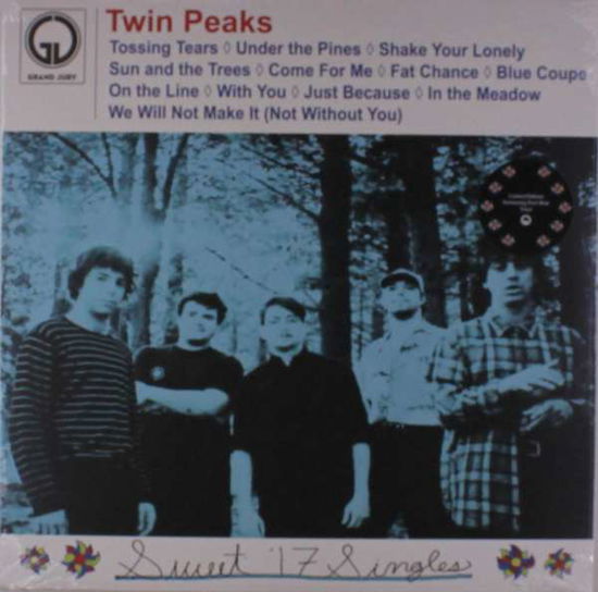 Sweet '17 Singles - Twin Peaks - Musique - GRAND JURY (RED) - 0855579006232 - 8 février 2019