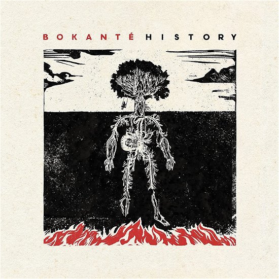 Cover for Bokante · History (LP) (2023)