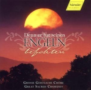 Cover for Denn er hat seinen Engeln befo (CD) (2004)