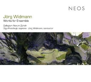 Works For Ensemble - J. Widmann - Musik - NEOS - 4260063109232 - 17. Mai 2010