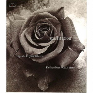 Cover for Fujimori Ryoichi · Meditation (CD) [Japan Import edition] (1999)