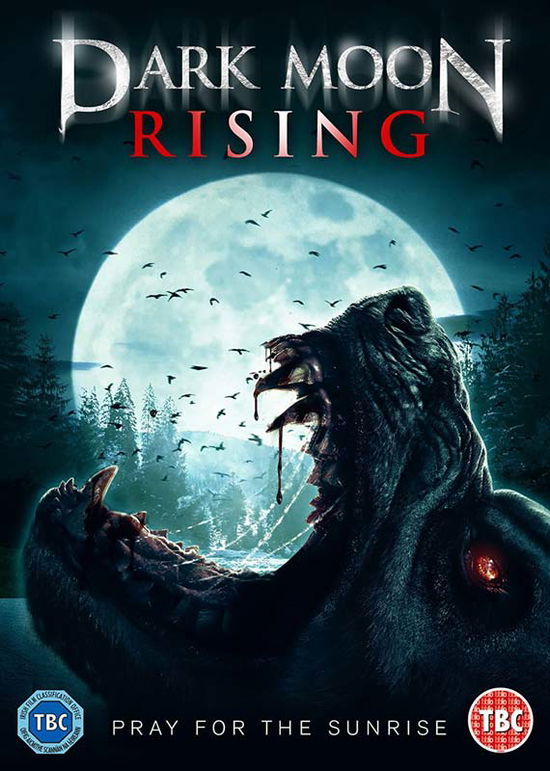 Cover for Dark Moon Rising (DVD) (2017)