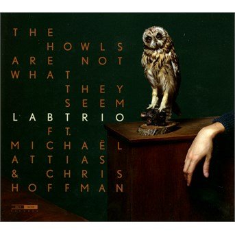 Cover for Labtrio · The Owls Are Not What They Seem (CD) (2016)