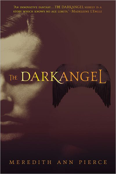 Cover for Meredith Ann Pierce · The Darkangel: Number 1 in series - Darkangel Trilogy (Pocketbok) (2007)