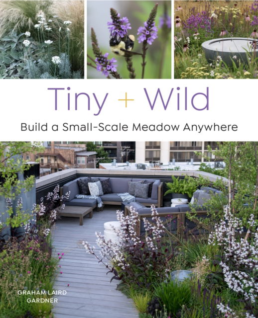 Tiny and Wild: Build a Small-Scale Meadow Anywhere - Graham Laird Gardner - Books - Quarto Publishing Group USA Inc - 9780760376232 - March 9, 2023