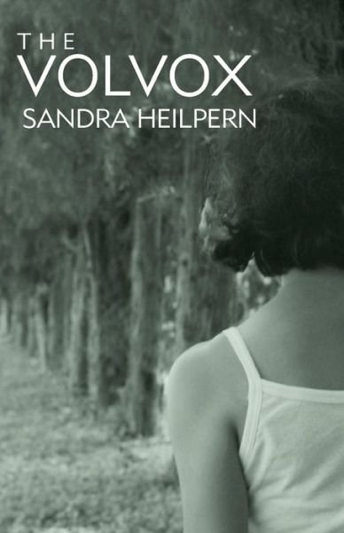 Cover for Sandra Heilpern · The Volvox (Pocketbok) (2014)