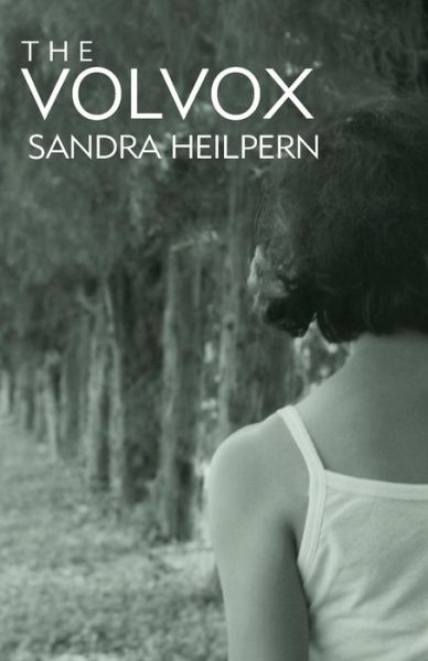 Cover for Sandra Heilpern · The Volvox (Taschenbuch) (2014)