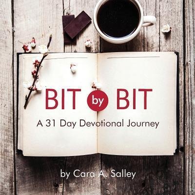 Cover for Cara a Salley · Bit by Bit (Pocketbok) (2019)