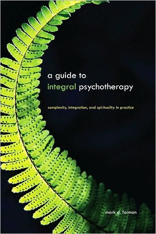 Cover for Mark D. Forman · A guide to integral psychotherapy (Book) (2010)