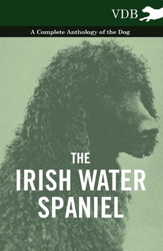 Cover for The Irish Water Spaniel - a Complete Anthology of the Dog (Pocketbok) (2010)