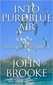 Cover for John Brooke · Into Pure Blue Air (Paperback Bog) (2011)