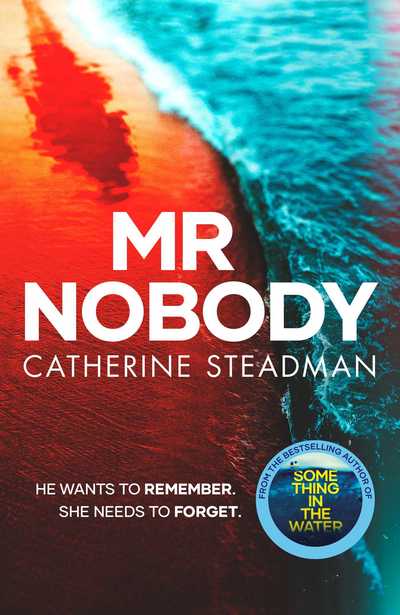 Cover for Catherine Steadman · Mr Nobody (Paperback Book) [Export / Airside edition] (2020)