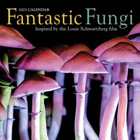 Cover for L.P., Insight Editions, · Fantastic Fungi Wall Calendar 2025: Inspired by the Louie Schwartzberg Film (Calendar) (2024)