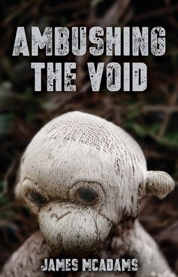 Cover for James McAdams · Ambushing the Void (Paperback Book) (2020)