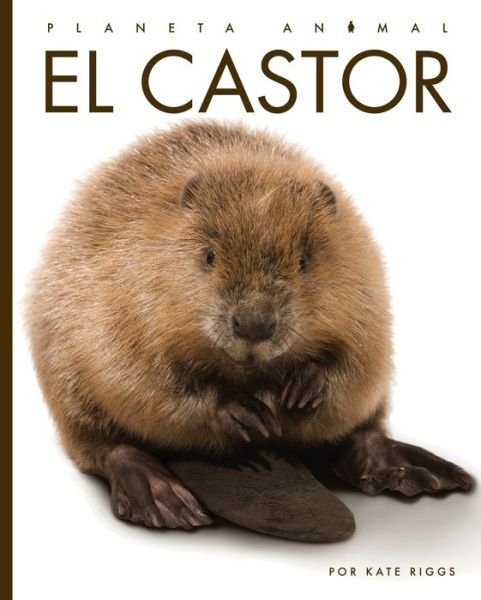 Cover for Kate Riggs · El Castor (Pocketbok) (2022)