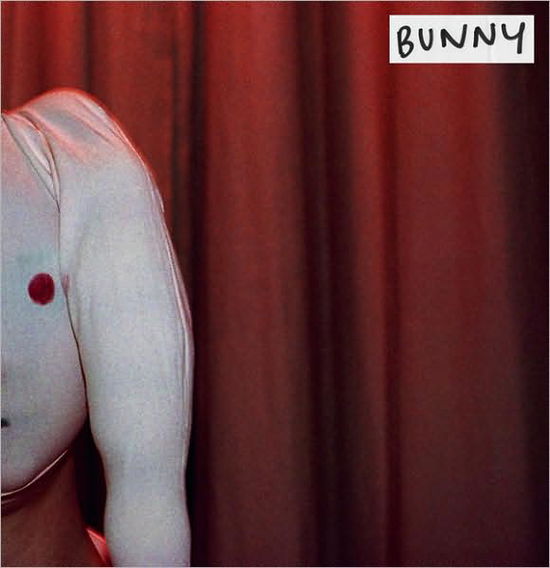 Cover for Will Self · Bunny - Poem by Nick Cave (Hardcover Book) (2008)