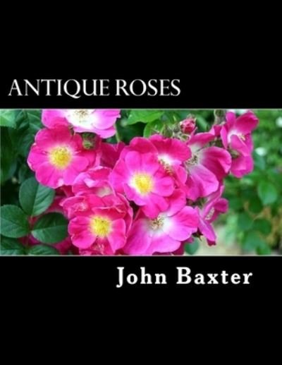 Cover for John Baxter · Antique Roses (Taschenbuch) (2017)