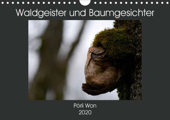 Waldgeister und Baumgesichter (Wand - Won - Książki - - 9783670928232 -