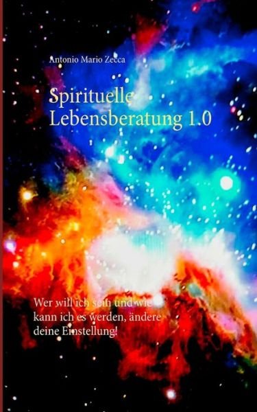 Cover for Zecca · Spirituelle Lebensberatung 1.0 (Buch) (2017)