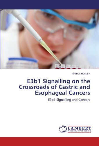 Cover for Firdous Hussain · E3b1 Signalling on the Crossroads of Gastric and Esophageal Cancers: E3b1 Signalling and Cancers (Taschenbuch) (2012)