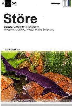 Cover for Frank Kirschbaum · Störe (Hardcover Book) (2010)