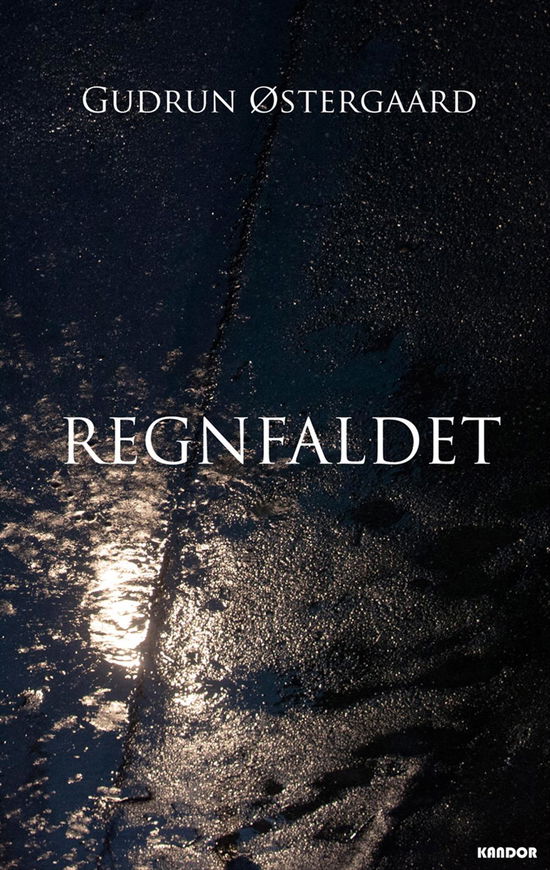 Cover for Gudrun Østergaard · Regnfaldet (Sewn Spine Book) [1st edition] (2014)