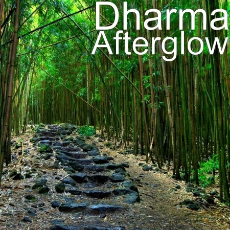 Cover for Dharma · V Crnih Sencah (CD) (2022)