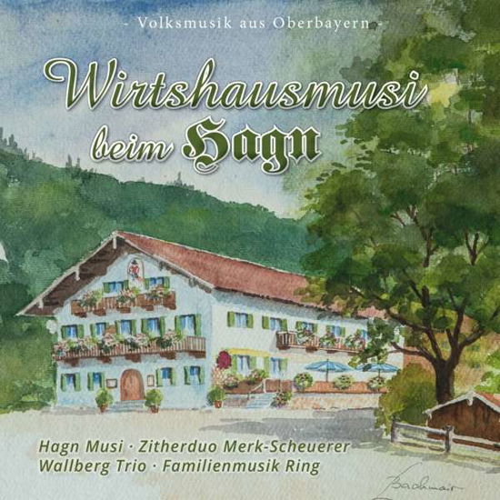Wirtshausmusi Beim Hagn - Hagn Musi / Familie Ring / Wallberg Trio - Musik - BOGNE - 4012897171233 - 5. oktober 2018