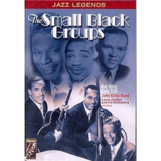Cover for The Small Black Groups · Various (DVD) (2016)