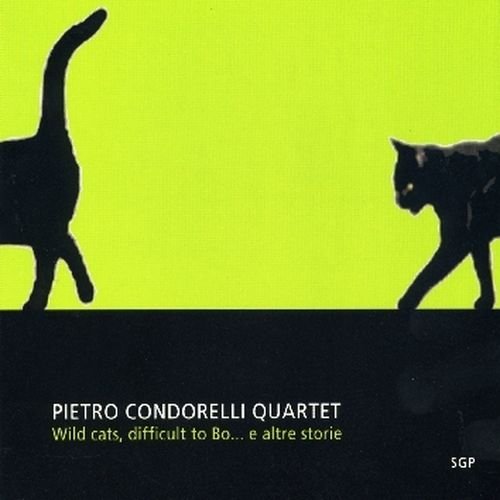 Cover for Pietro Condorelli · Wild Cats, Difficult to Bo... E Altre Storie (CD) (2010)