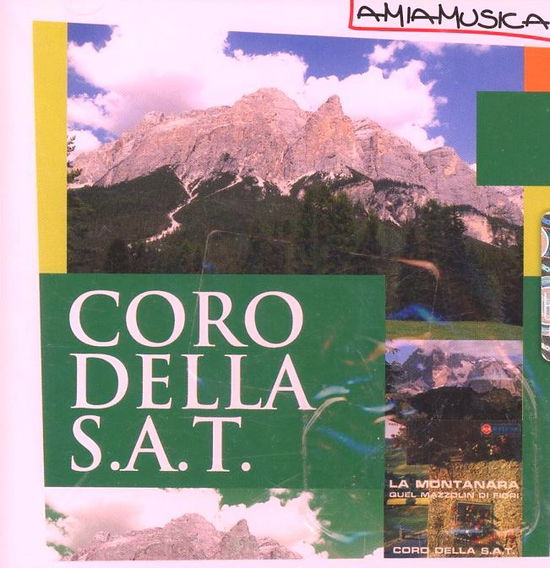 Cover for Coro Della S.a.t. · Coro Della S.a.t. - I Successi Storici Originali (CD)