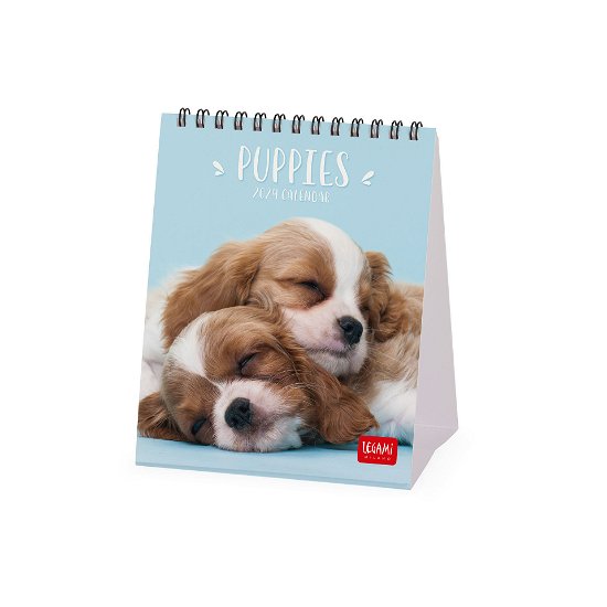 Cover for Legami · Desk Calendars - 2024 Desk Calendar - Puppies - 12x14.5 - Dogs (Taschenbuch) (2023)