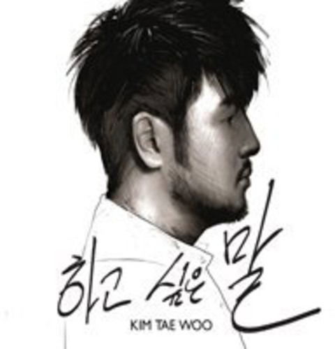 Cover for Kim Tae Woo · Solo Special (CD) (2011)