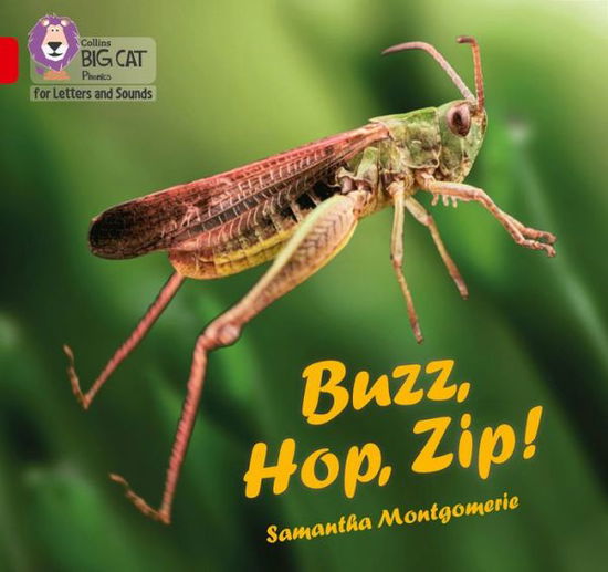 Buzz, Hop, Zip!: Band 02a/Red a - Collins Big Cat Phonics for Letters and Sounds - Samantha Montgomerie - Livros - HarperCollins Publishers - 9780008381233 - 26 de março de 2020