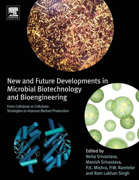 Cover for New and Future Developments in Microbial Biotechnology and Bioengineering: From Cellulose to Cellulase: Strategies to Improve Biofuel Production (Paperback Book) (2019)